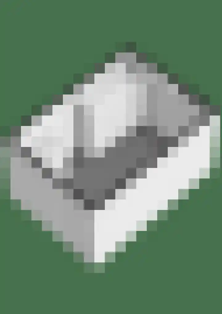 Ravelijn 108 Geertruidenberg thumbnail 44