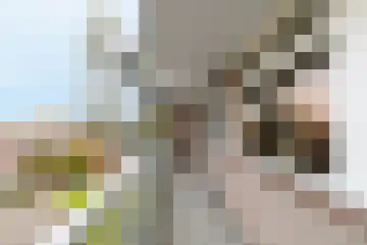 Ravelijn 108 Geertruidenberg thumbnail 8