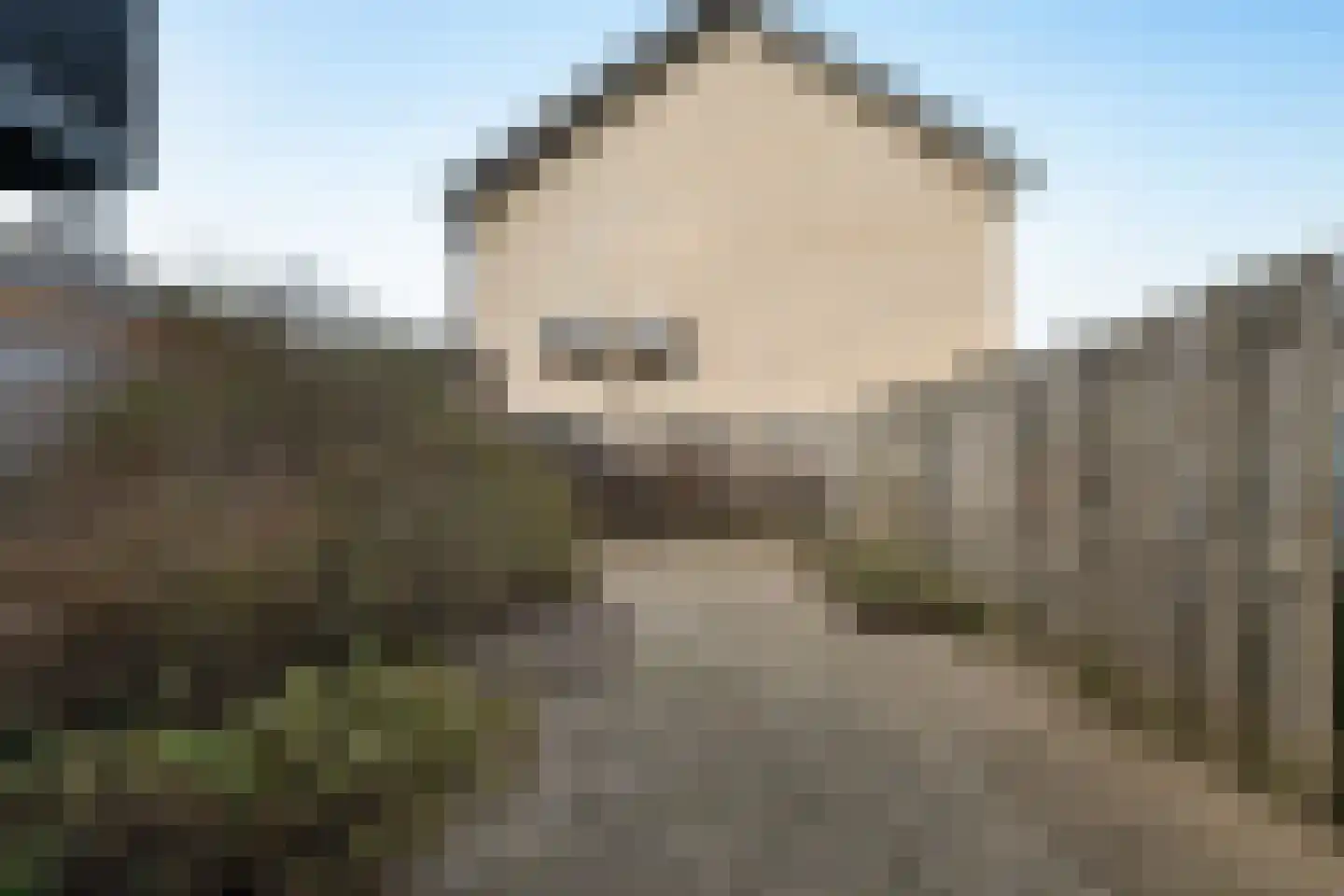 Ravelijn 12 Grave thumbnail 11