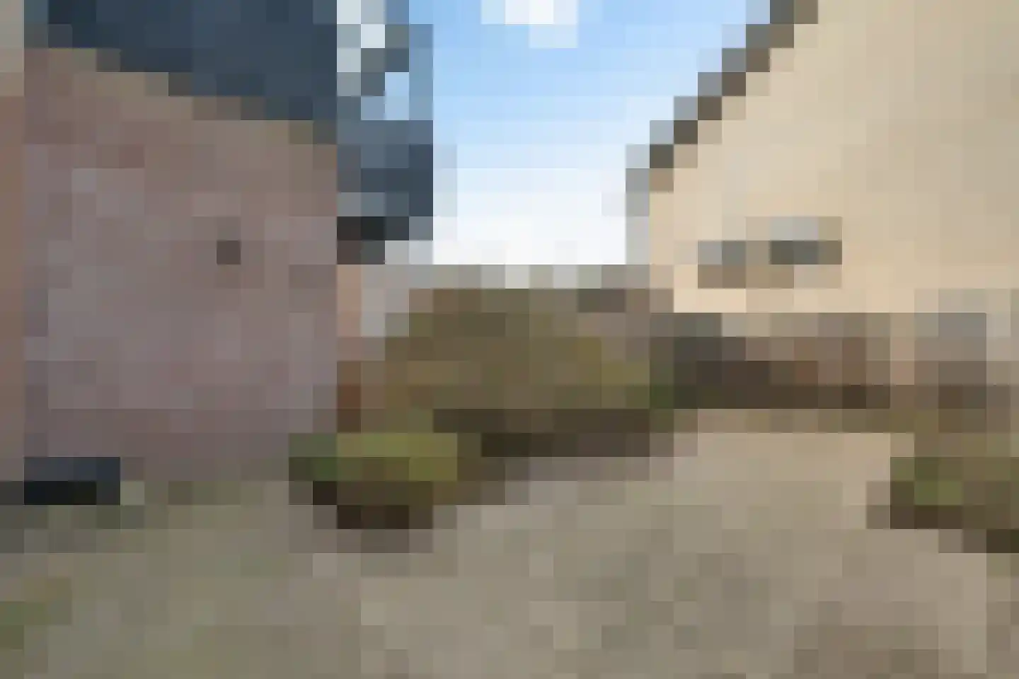 Ravelijn 12 Grave thumbnail 12