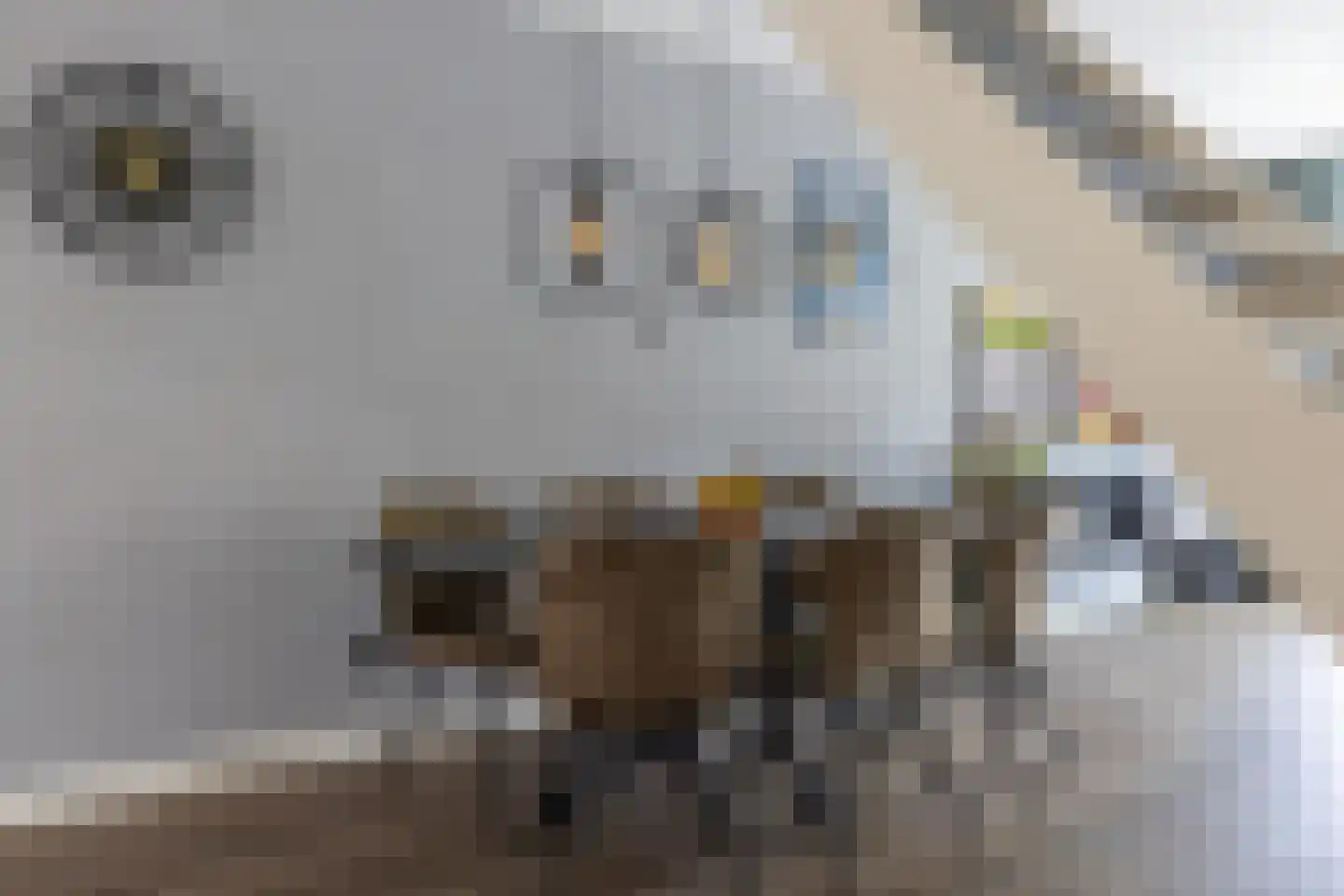 Ravelijn 12 Weesp thumbnail 10