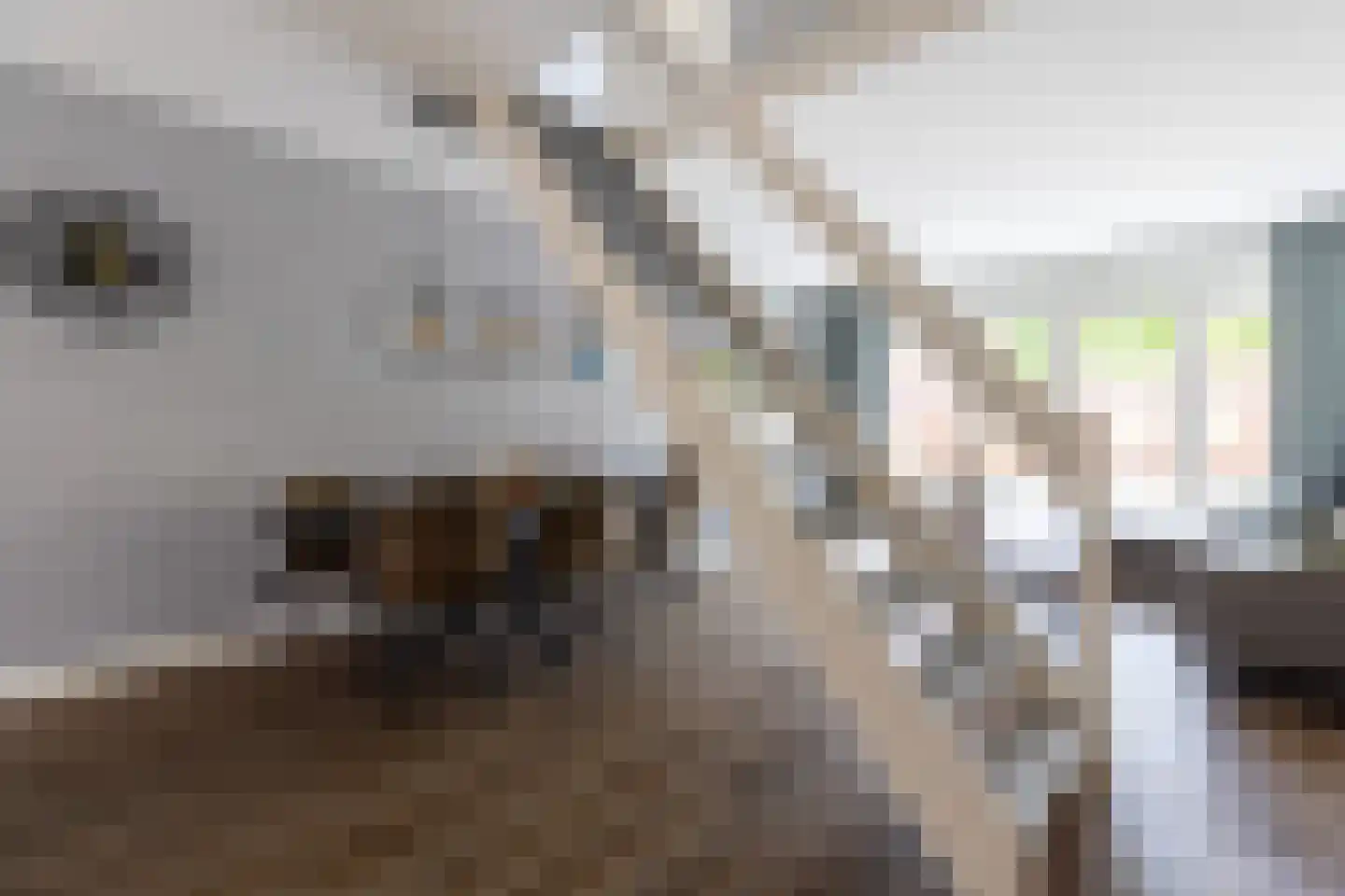 Ravelijn 12 Weesp thumbnail 9