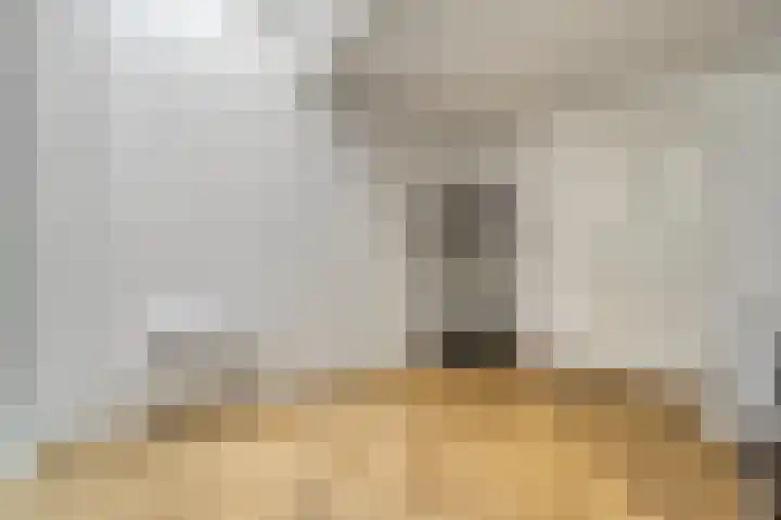 Ravelijn 12 Zeewolde thumbnail 15