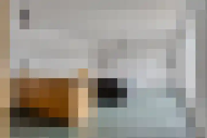 Ravelijn 12 Zeewolde thumbnail 17