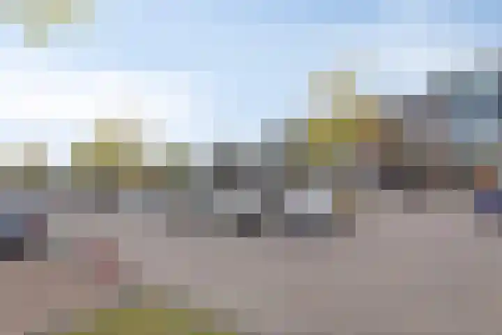 Ravelijn 12 Zeewolde thumbnail 29