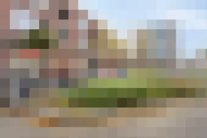 Ravelijn 12 Zeewolde thumbnail 4