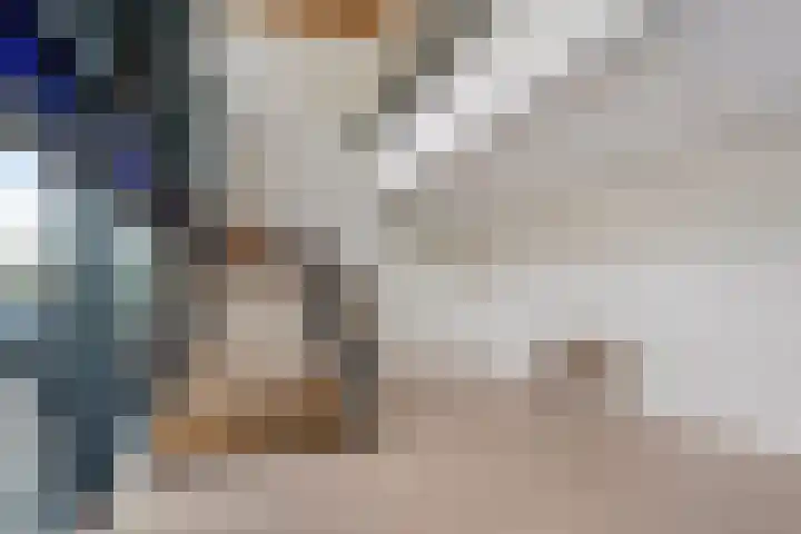 Ravelijn 12 Zeewolde thumbnail 5