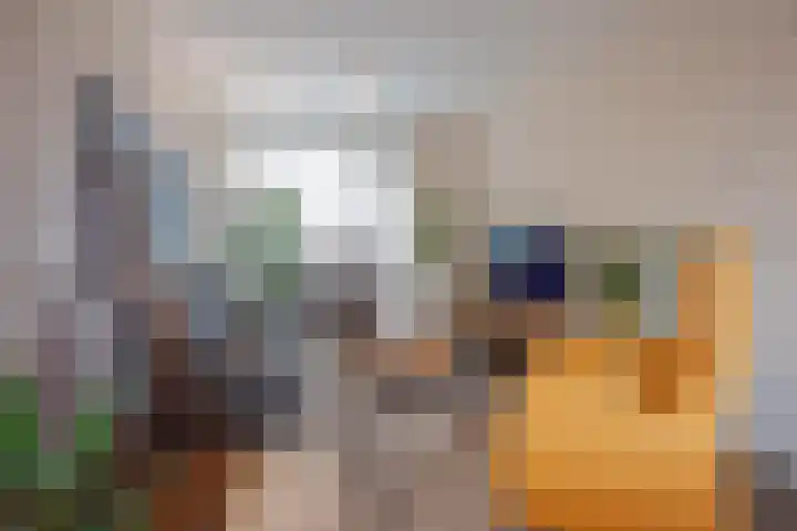 Ravelijn 134 Geertruidenberg thumbnail 14