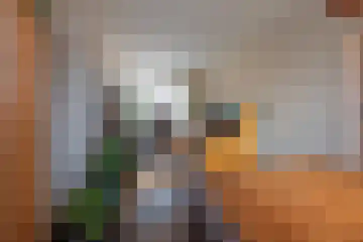 Ravelijn 134 Geertruidenberg thumbnail 17