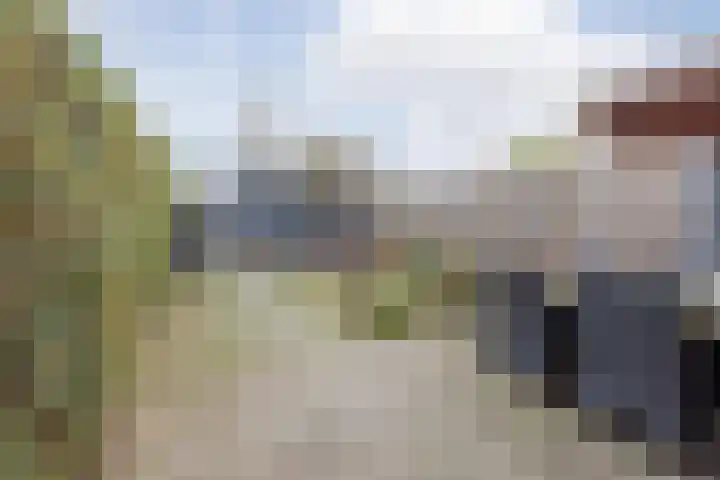 Ravelijn 134 Geertruidenberg thumbnail 29