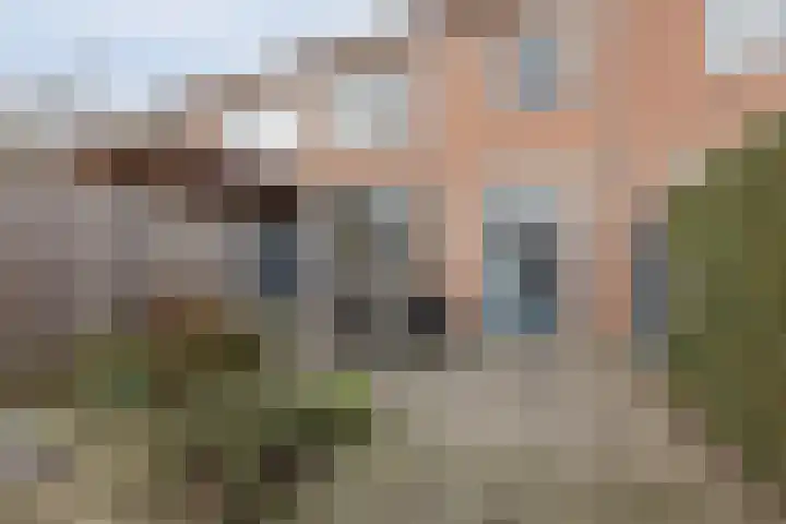 Ravelijn 134 Geertruidenberg thumbnail 31