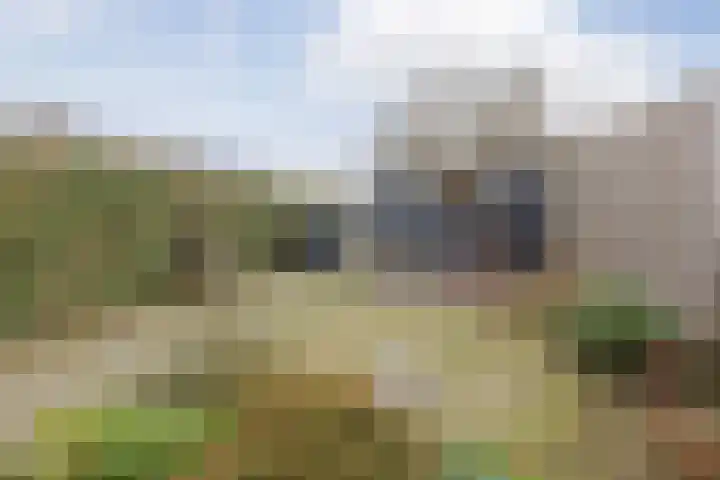 Ravelijn 134 Geertruidenberg thumbnail 32