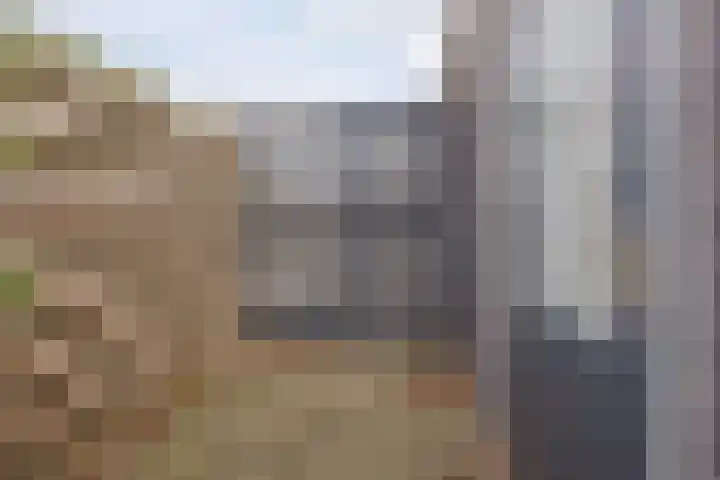 Ravelijn 134 Geertruidenberg thumbnail 34