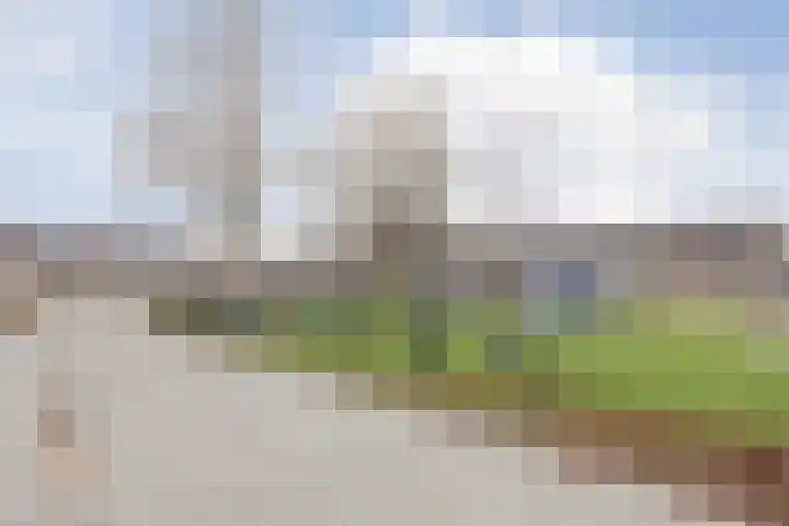 Ravelijn 134 Geertruidenberg thumbnail 35