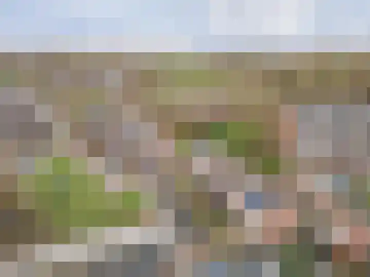 Ravelijn 134 Geertruidenberg thumbnail 40