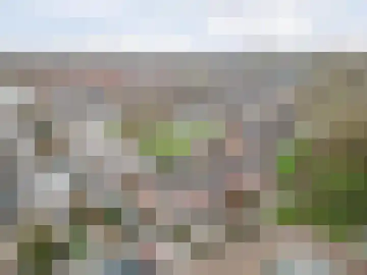 Ravelijn 134 Geertruidenberg thumbnail 41