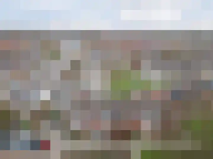 Ravelijn 134 Geertruidenberg thumbnail 42