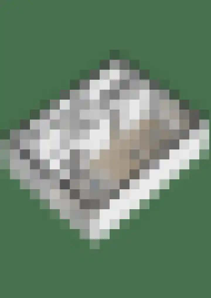 Ravelijn 134 Geertruidenberg thumbnail 44