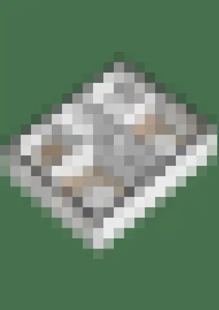 Ravelijn 134 Geertruidenberg thumbnail 46