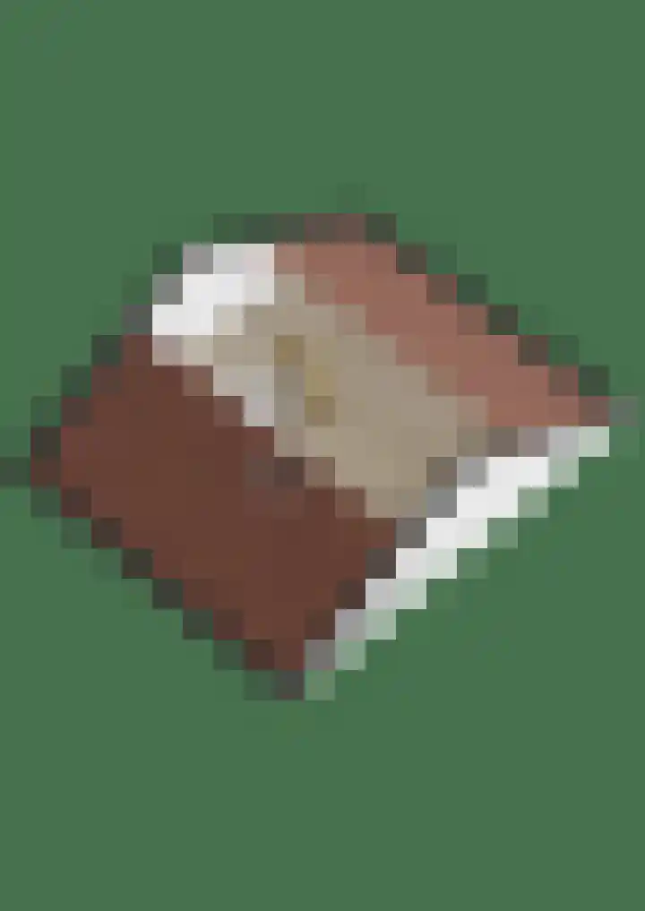 Ravelijn 134 Geertruidenberg thumbnail 48
