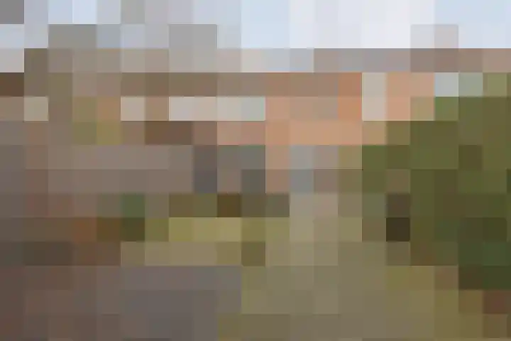 Ravelijn 134 Geertruidenberg thumbnail 5