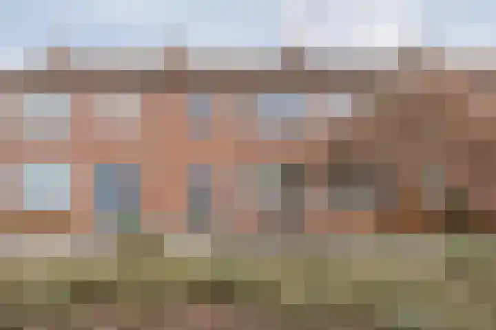 Ravelijn 134 Geertruidenberg thumbnail 6