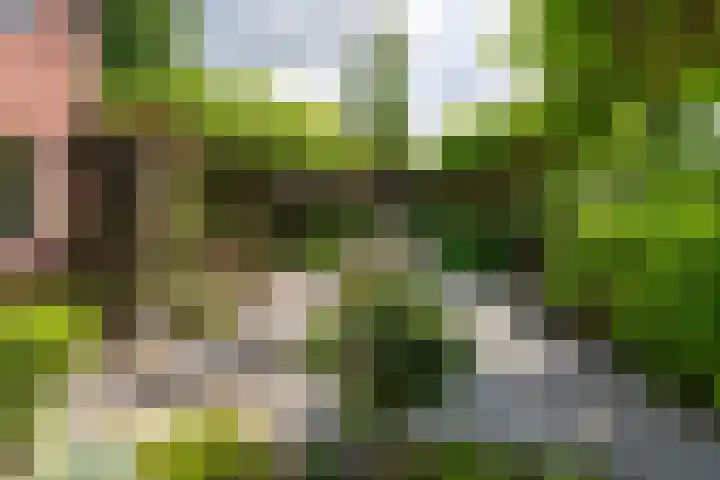 Ravelijn 14 Woudrichem thumbnail 32