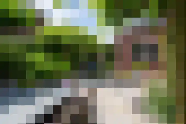 Ravelijn 14 Woudrichem thumbnail 33