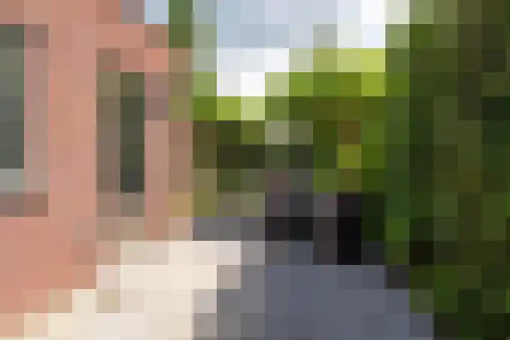 Ravelijn 14 Woudrichem thumbnail 34