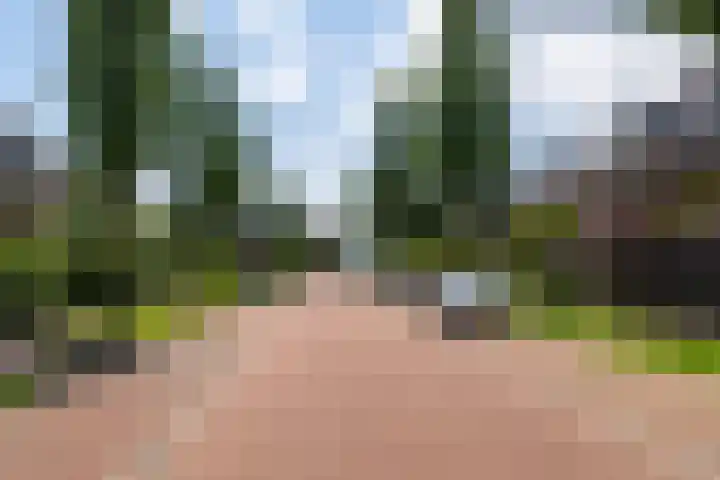 Ravelijn 14 Woudrichem thumbnail 35