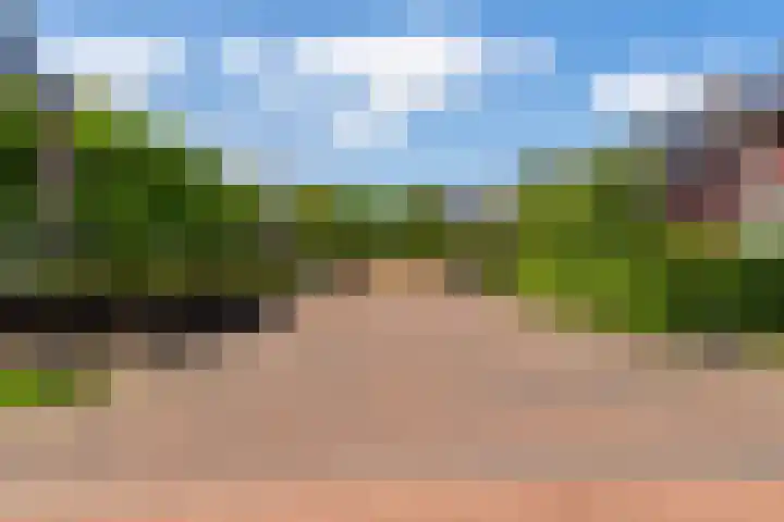 Ravelijn 14 Woudrichem thumbnail 36