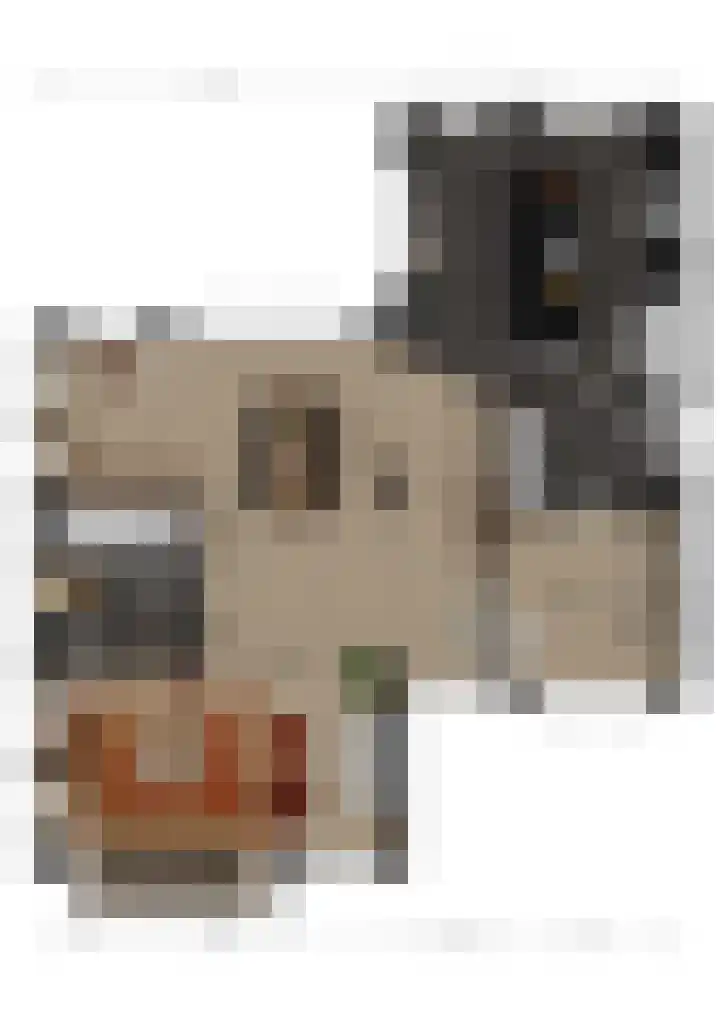 Ravelijn 14 Woudrichem thumbnail 37