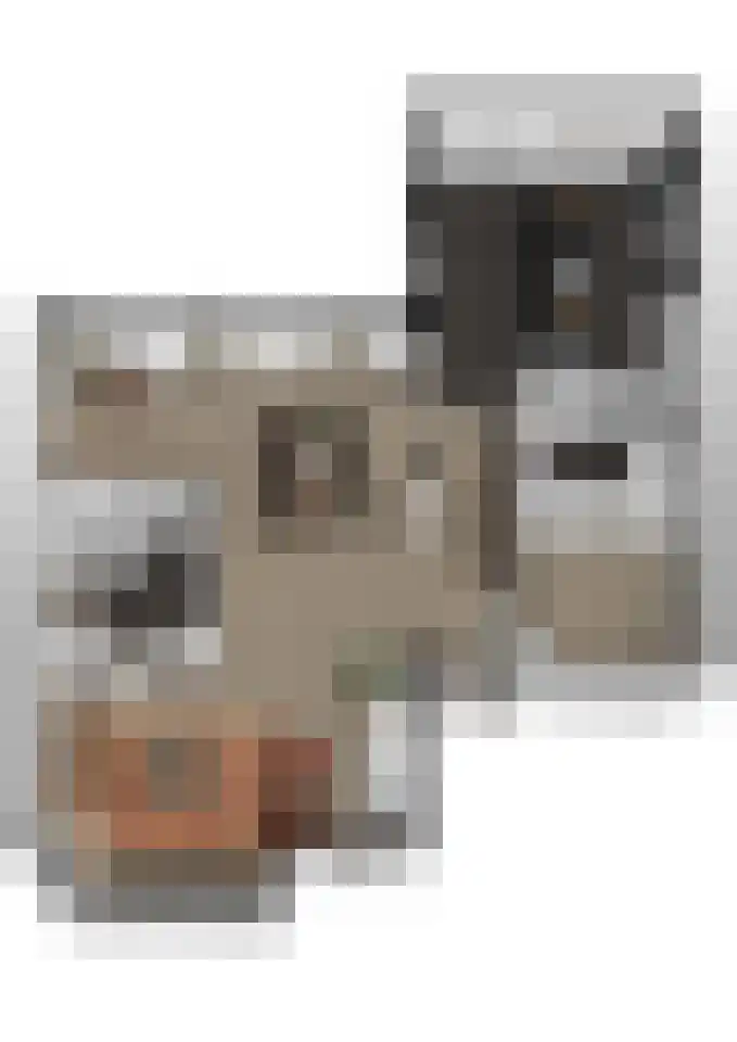 Ravelijn 14 Woudrichem thumbnail 38