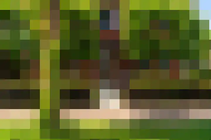 Ravelijn 14 Woudrichem thumbnail 4