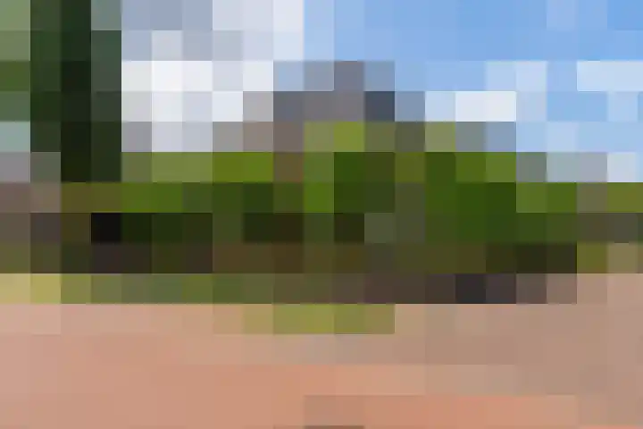 Ravelijn 14 Woudrichem thumbnail 43