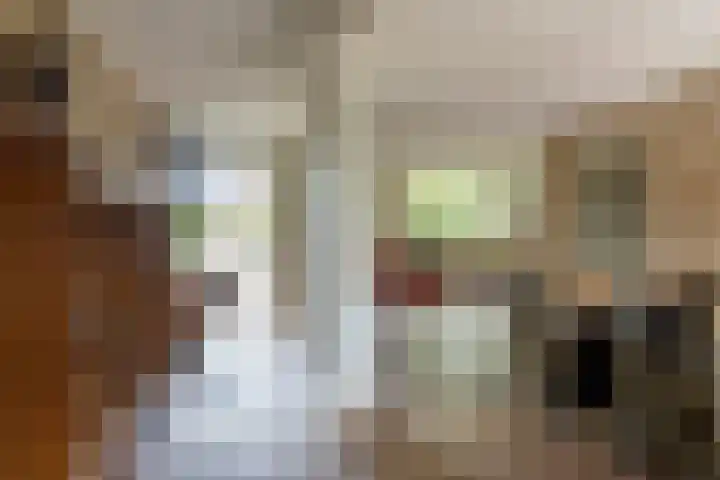 Ravelijn 14 Woudrichem thumbnail 9