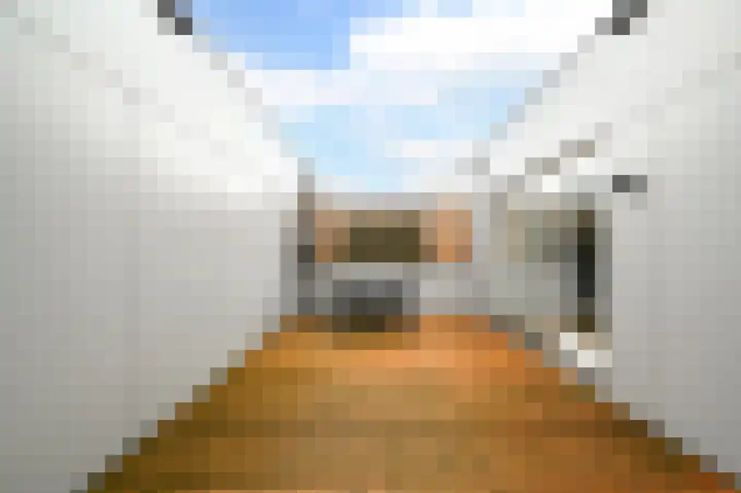 Ravelijn 14 Zeewolde thumbnail 12