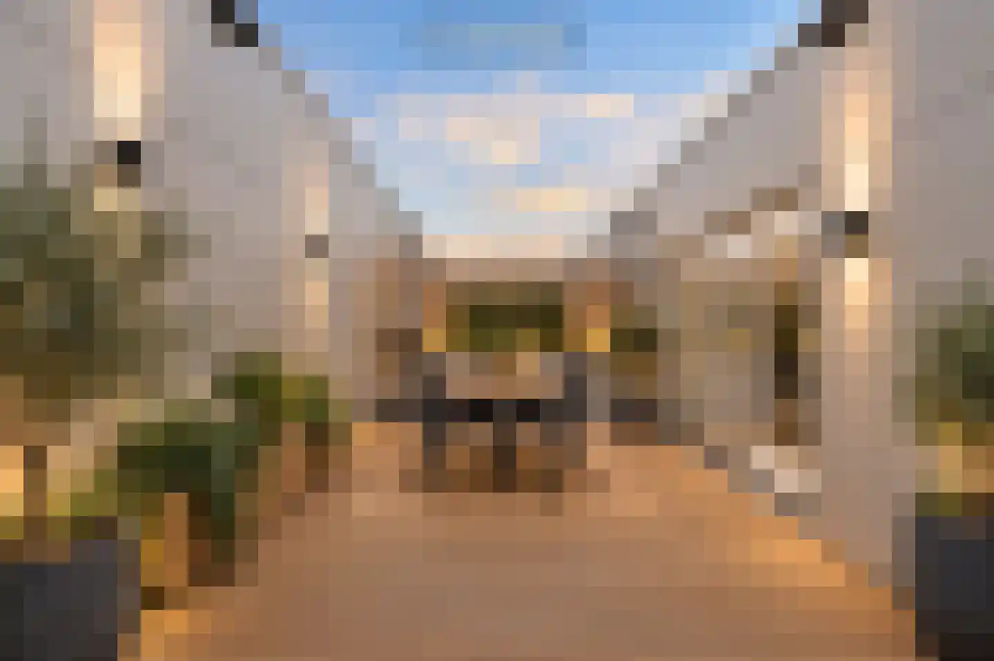 Ravelijn 14 Zeewolde thumbnail 13