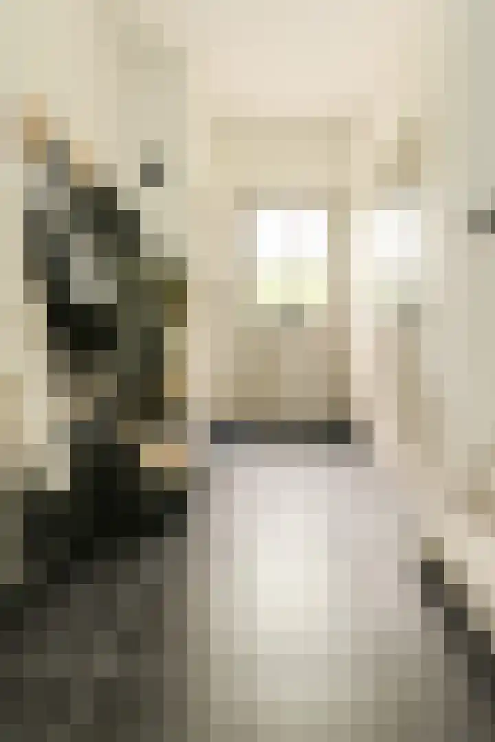 Ravelijn 141 Geertruidenberg thumbnail 10