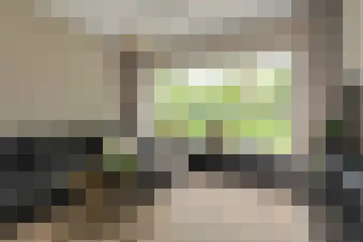 Ravelijn 141 Geertruidenberg thumbnail 14