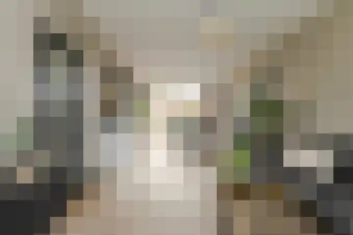 Ravelijn 141 Geertruidenberg thumbnail 17