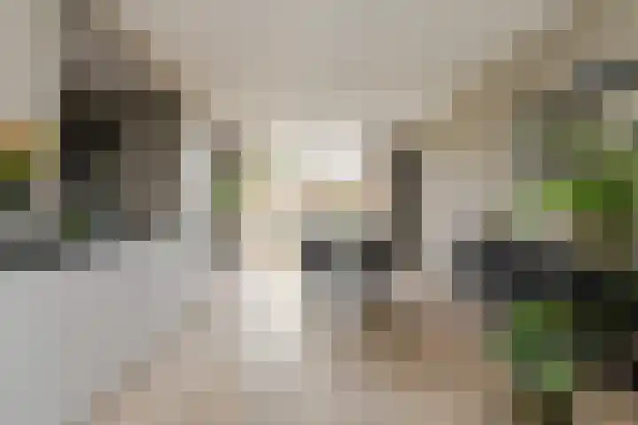 Ravelijn 141 Geertruidenberg thumbnail 18