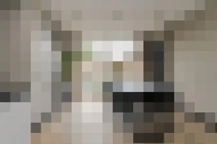 Ravelijn 141 Geertruidenberg thumbnail 19