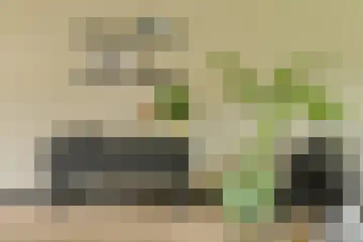 Ravelijn 141 Geertruidenberg thumbnail 27