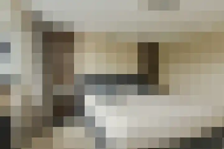 Ravelijn 141 Geertruidenberg thumbnail 33