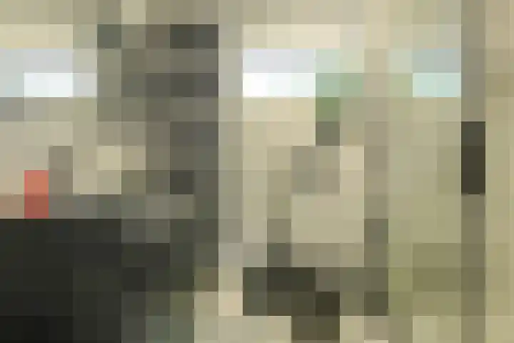 Ravelijn 141 Geertruidenberg thumbnail 34
