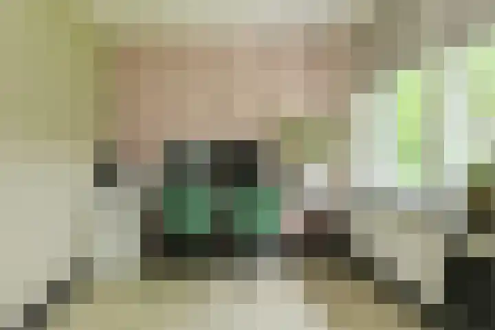 Ravelijn 141 Geertruidenberg thumbnail 37