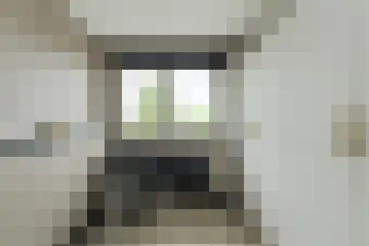 Ravelijn 141 Geertruidenberg thumbnail 39