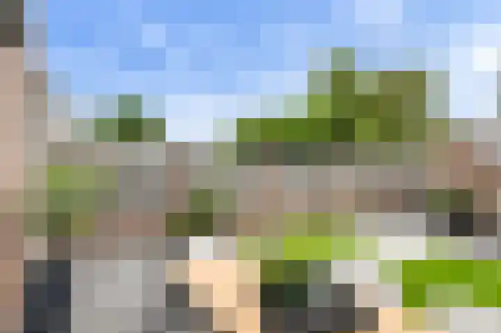 Ravelijn 141 Geertruidenberg thumbnail 47