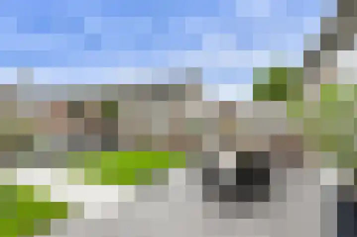 Ravelijn 141 Geertruidenberg thumbnail 48